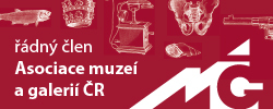Asociace muzeí a galerií ČR