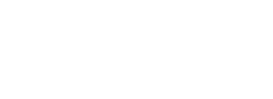 ikona