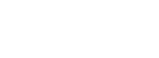 ikona