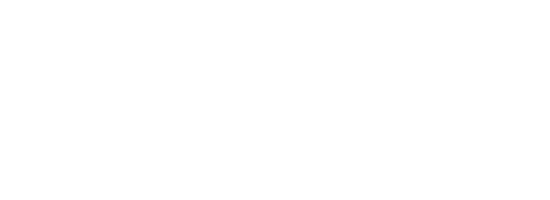 ikona